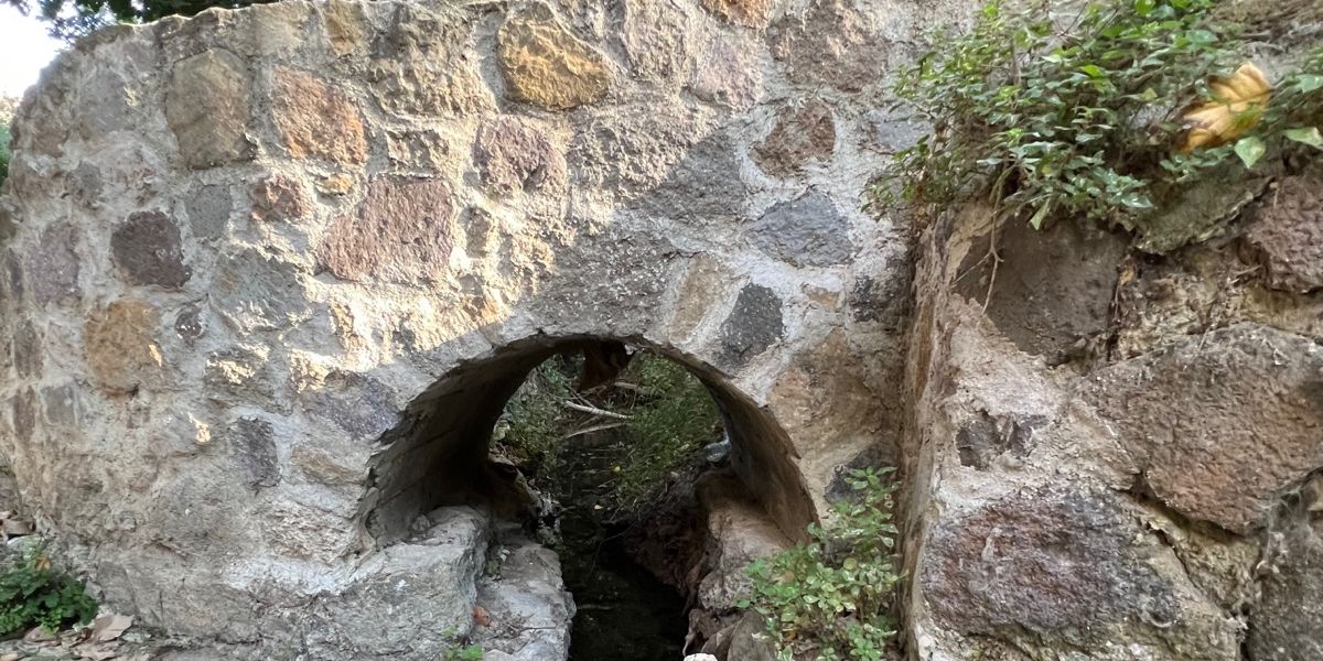 poria-spring-kos729D3AAC8-E25E-B1A3-B36F-A8CDE23634E2.jpeg